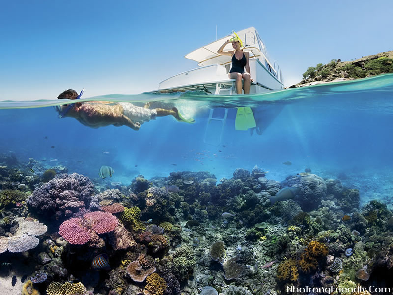 Scuba diving Nha trang