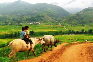 Sapa 1 small Combo tour Vietnam cambodia