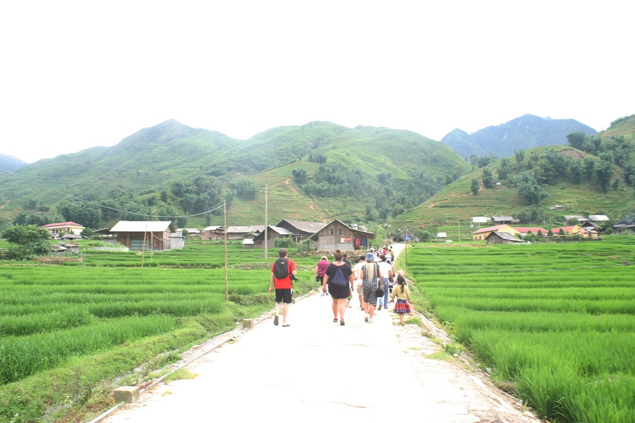 Trekking Sapa tour