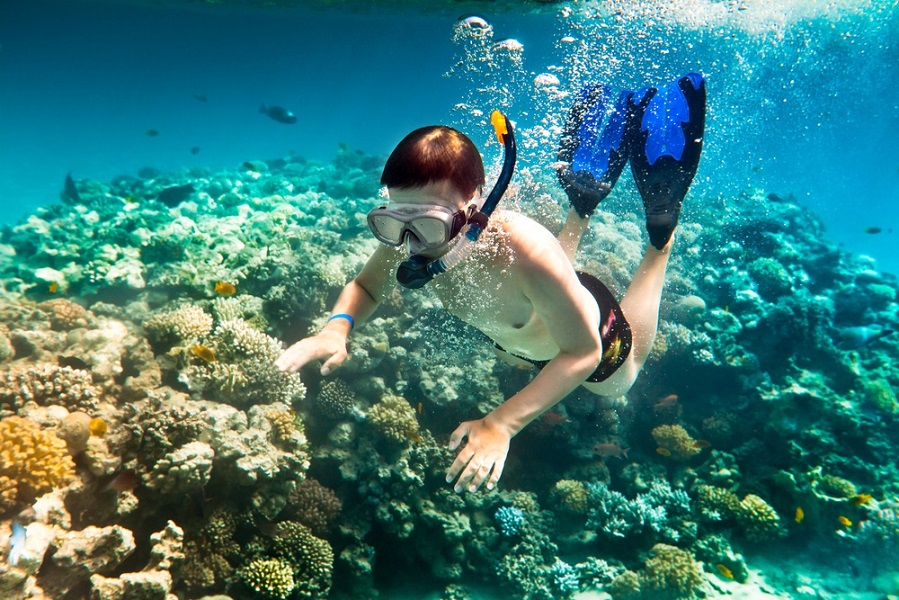 Snorkeling Phu Quoc island