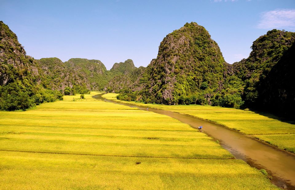 Hoa Lu - tam coc tour