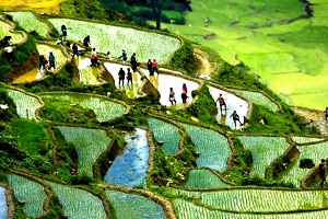 Tour Sapa Vietnam