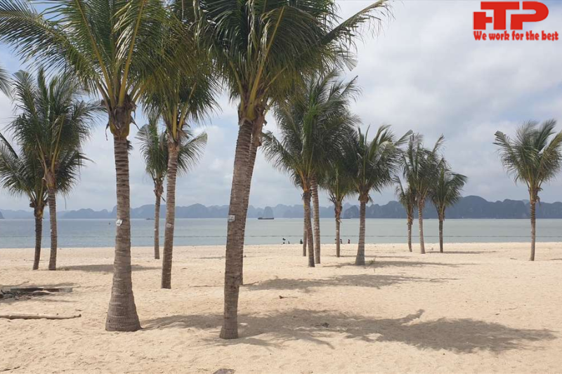 Bai Chay Beach