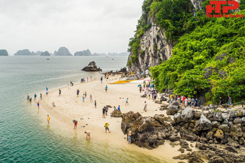 Why to choose Ha Long beaches